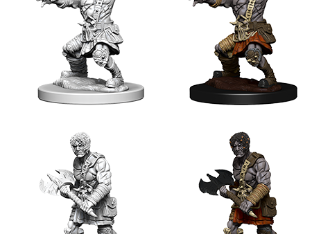 Nameless One D&D Nolzur s Marvelous Miniatures Fashion