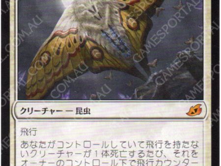 Luminous Broodmoth [Ikoria: Lair of Behemoths] - Near Mint, Japanese For Discount