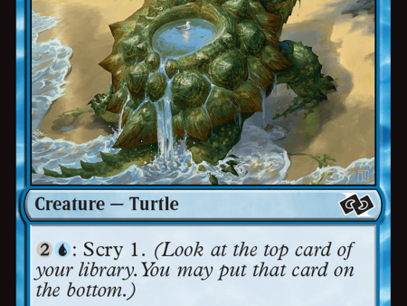 Tidepool Turtle [Foundations Jumpstart] Supply