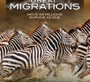 NATIONAL GEOGRAPHIC: GREAT MIGRATIONS For Sale